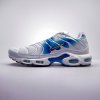 Nike AIR MAX PLUS - DX8962-100