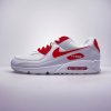 Nike AIR MAX 90 - DX8966-100