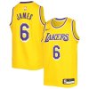 Nike LEBRON JAMES LAKERS ICON EDITION - CW3669-738 (Velikost XXL)