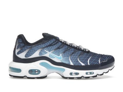 Nike Air Max Plus Dark Obsidian 360 01