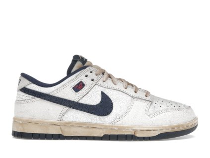 Nike Dunk Low Stranger Things Phantom 360 01