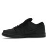 Nike SB Dunk Low Pro Triple Black 360 18