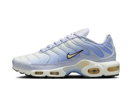 NikeAirMaxPlusDaybreak W