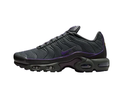 NikeAirMaxPlusIronGreyWildGrape