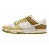4896 ipad nike dunk low bronzine