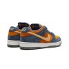 nike sb dunk low pro light carbon 25622735 55662017 2048