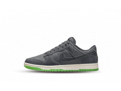 Nike Dunk Low Iron Grey (GS)