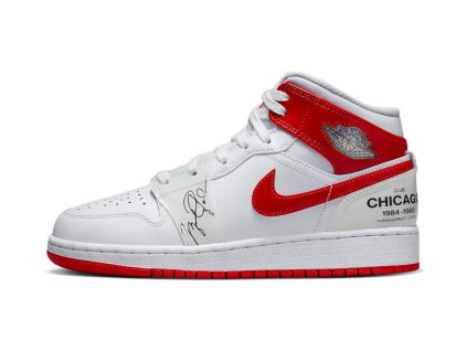 Air Jordan 1 Mid Rookie Season (GS)