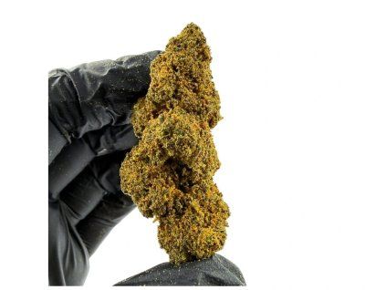 thc x blueberry kvet