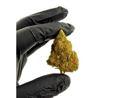 thc x orange zkittles