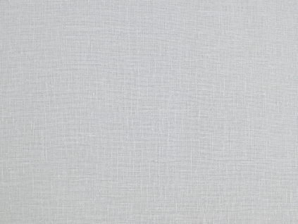 BLX048 pro web