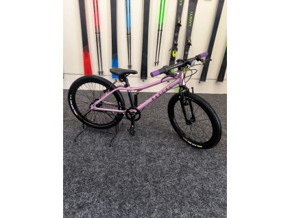 RASCAL 20" Pink