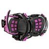 Fuchsia 5
