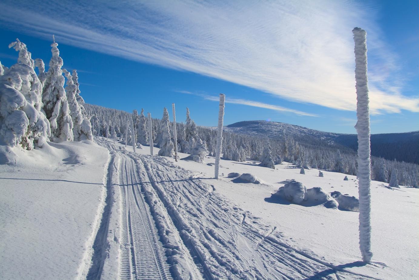 Kam na běžky? 10 tipů na úžasné stopy