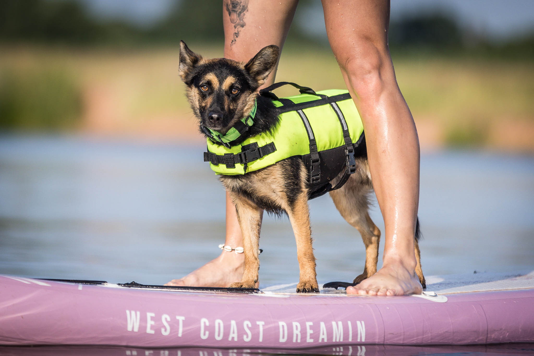 Se psem na paddleboardu