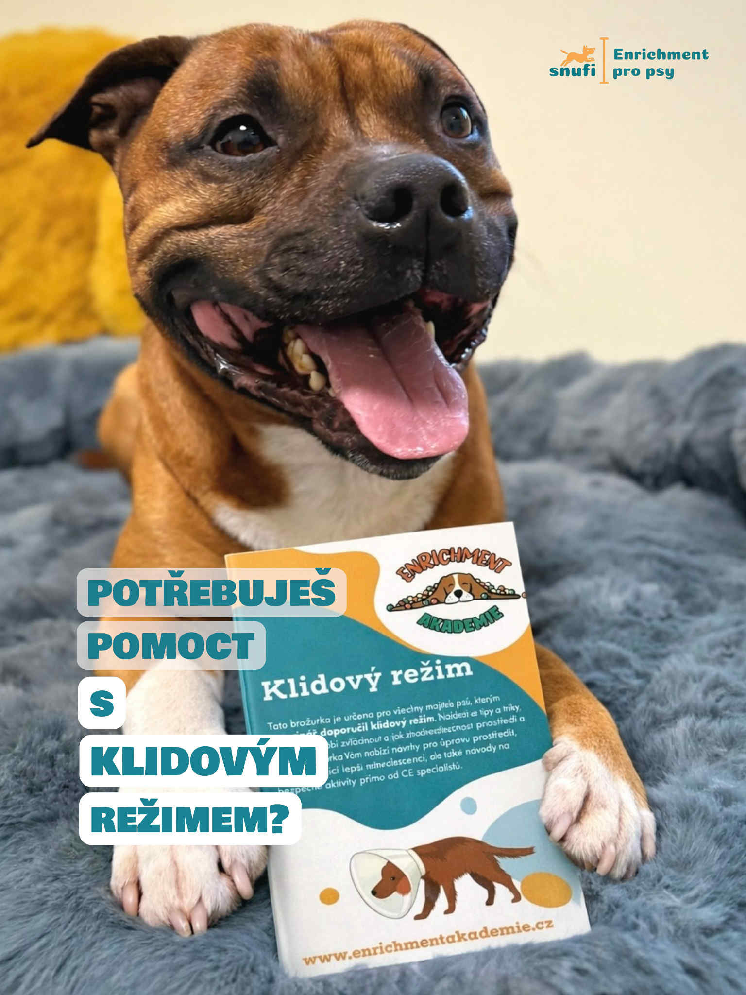 fd25d7f8-f38e-45ea-8be0-8b7f9e57603f