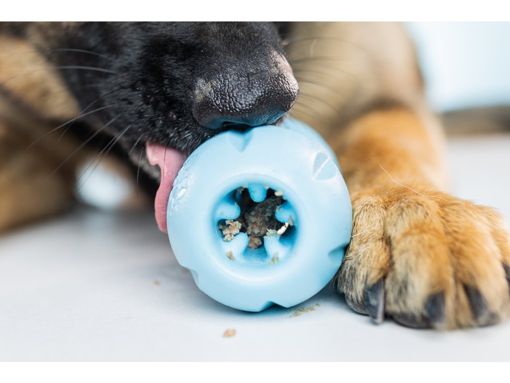 Qwizl plnění a mrazení