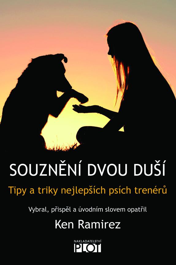 PLOT Souznění dvou duší – Ken Ramirez