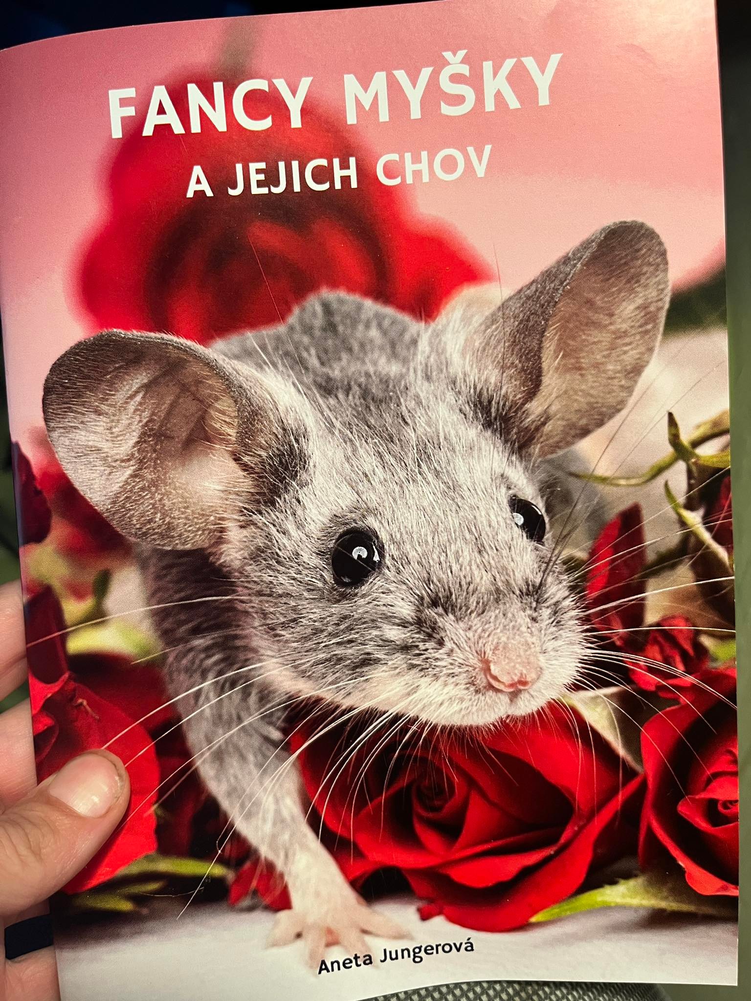 Brožurka o fancy myškách