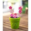 Sodapup flowerpot plnici hracka pro psy94