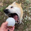 Sodapup golfovy micek plnici hracka pro psy3