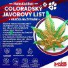 marihuana leták