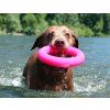 Ruff dawg Ring dog