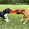 Ruff dawg Ring psi staffbull