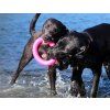 Ruff dawg Ring dog1