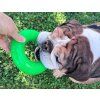 Ruff dawg Ring dog2