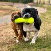 Ruff dawg buster dogs5