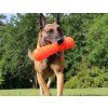 Ruff Dawg Buster dog