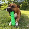 Ruff dawg Buster staffbull