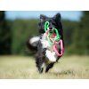 Ruff dawg Super Tug dog