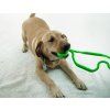 Ruff dawg Super Tug dog1