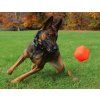 Ruff Dawg Cube dog3