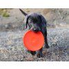Ruff dawg K9 Flyer dog1