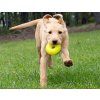 Ruff Dawg Nut dog1