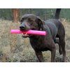 Ruff dawg Stick Twig dog2