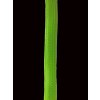 Ponožky na tužky - neon zelená