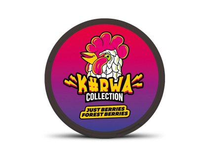 kurwa forest berries nikotinove sacky 1120x.webp