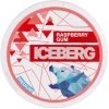 Iceberg Raspberry Gum Medium nikotinové sáčky