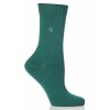 SockShop Racing Green DÁMSKÉ