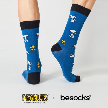 495539572 3503180153148980 719126209324769588 n