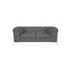 Chelsea Bis Sofa 2os. tk. Monolith 85 nogi srebrne (5)