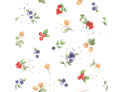 Severské bobule bílé