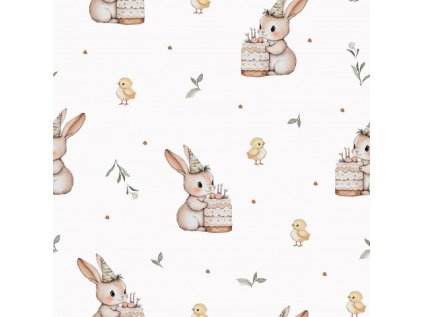 APN12036620019102591