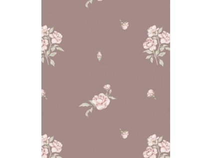 APN12556017439107785