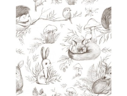 Povrchní lesní zvířata