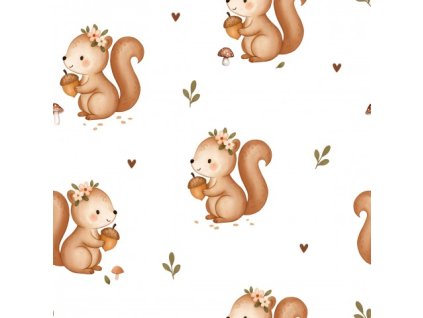 Forest Squirrel with acorn white